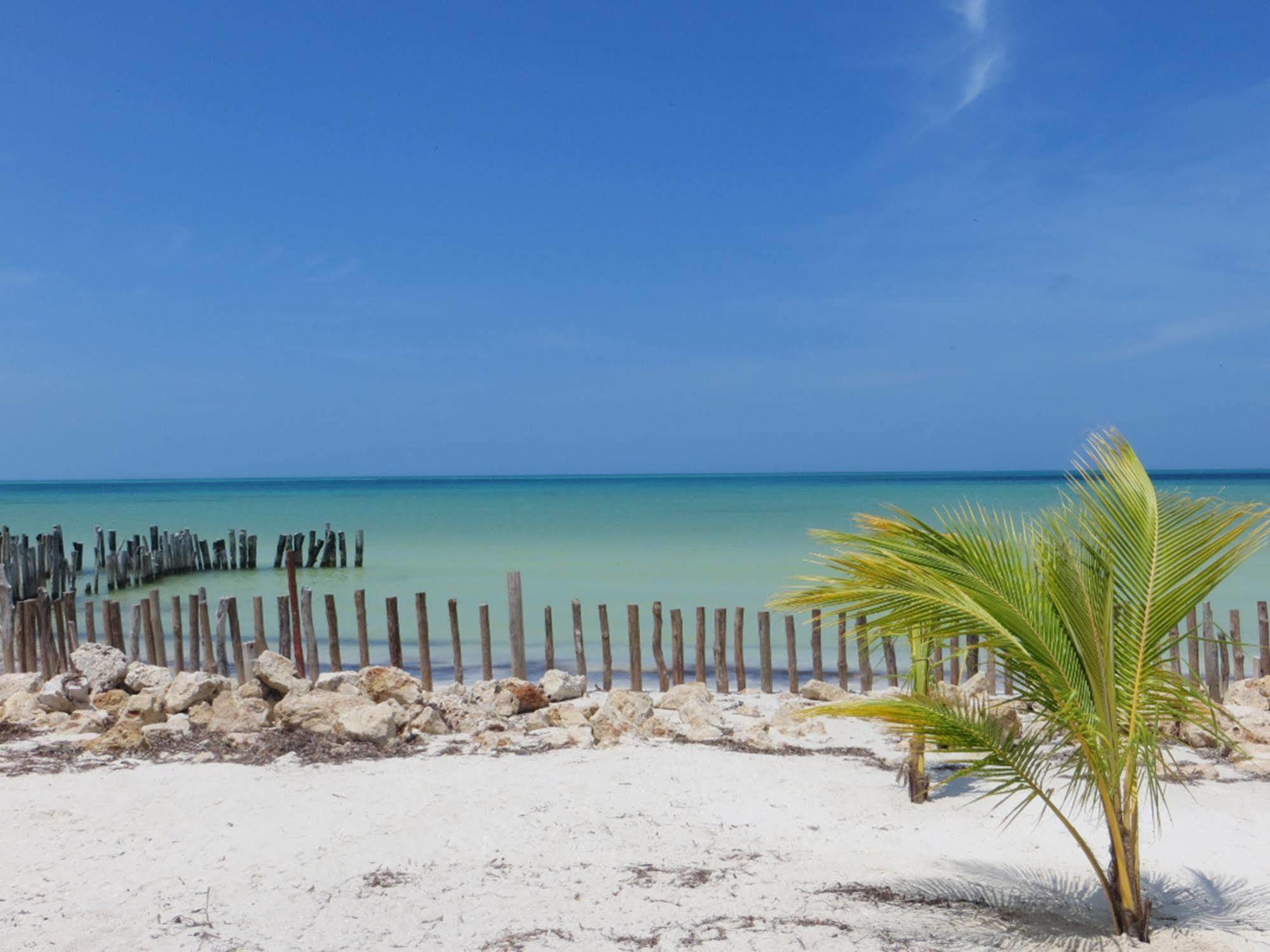 Golden Paradise Beach Isola Holbox Esterno foto