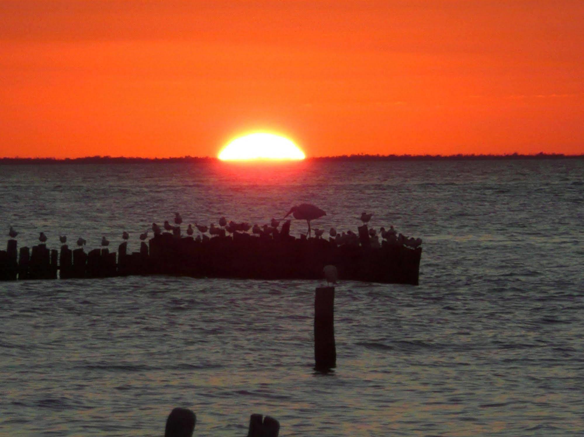 Golden Paradise Beach Isola Holbox Esterno foto