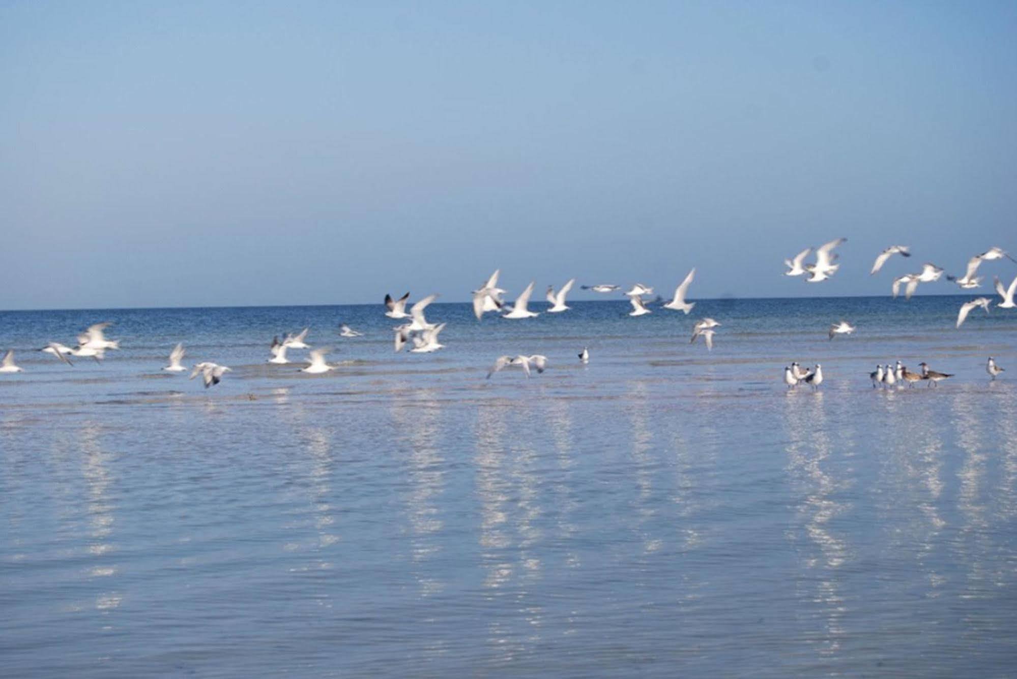 Golden Paradise Beach Isola Holbox Esterno foto